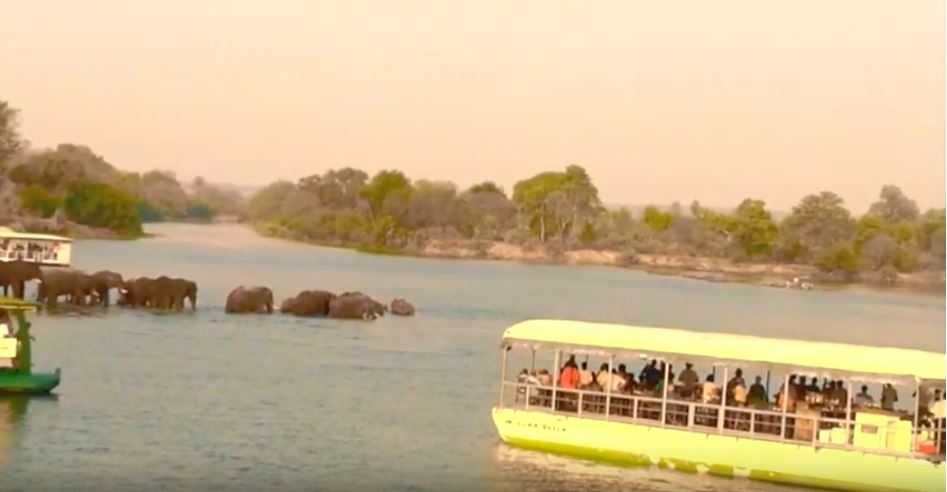 Sunset Cruise on the Zambezi River 5